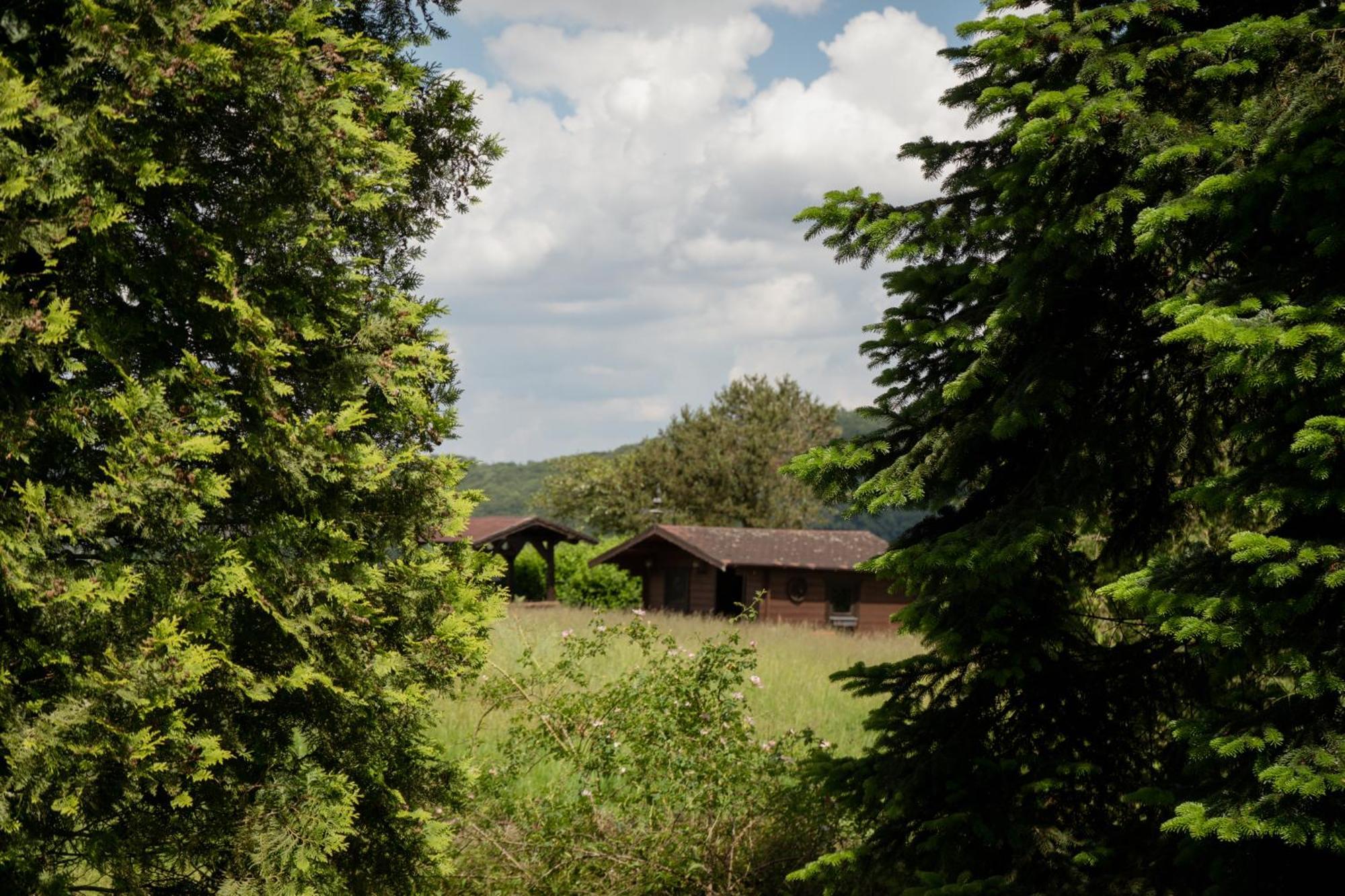 Idyllische Ferienwohnung Im Kalletal エクステリア 写真