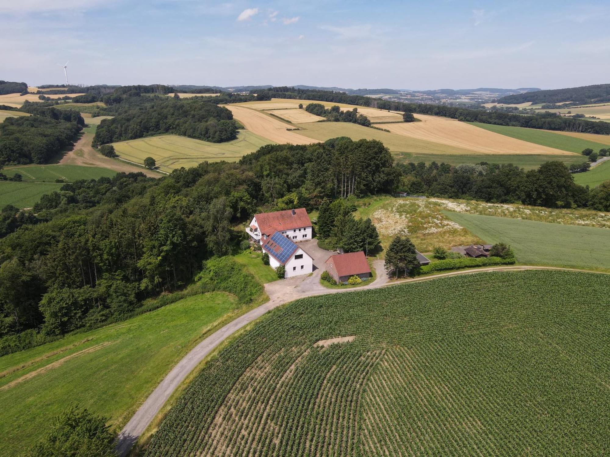 Idyllische Ferienwohnung Im Kalletal エクステリア 写真